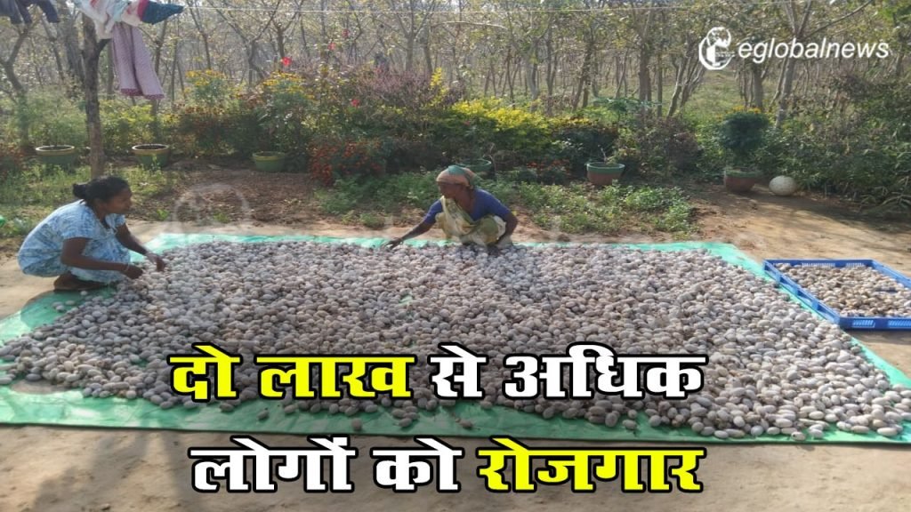 सर्गिक कोसा के उत्पादन से से दो लाख से अधिक लोगों को मिला रोजगार