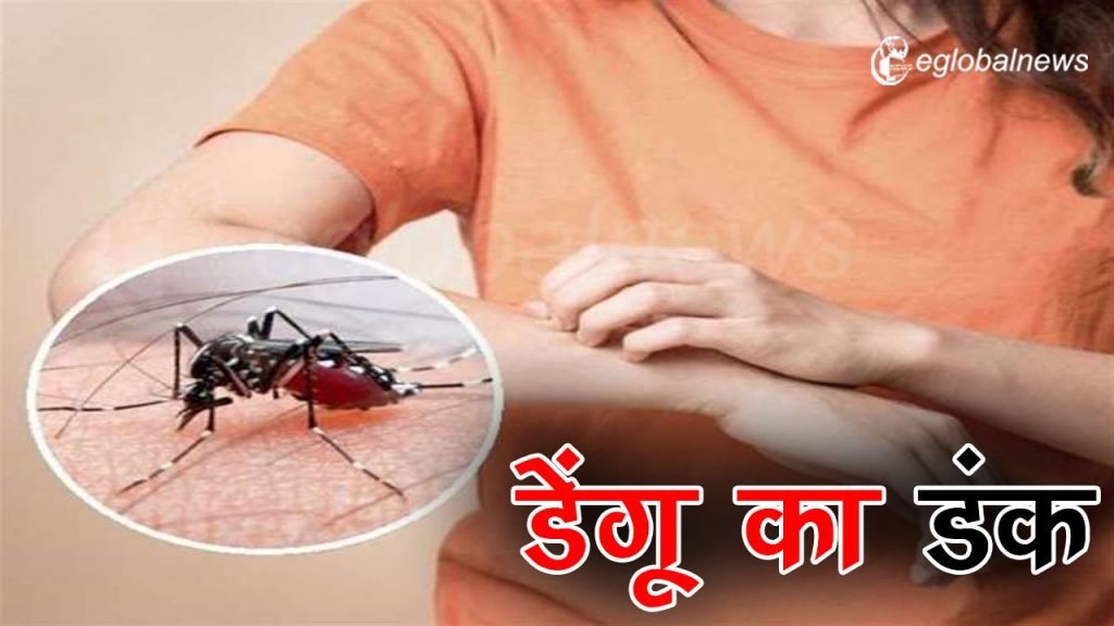 छत्तीसगढ़ में तेजी से पांव पसार रहा डेंगू