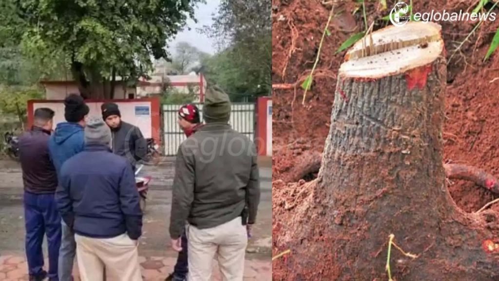 मध्य प्रदेश खंडवा न्यूज