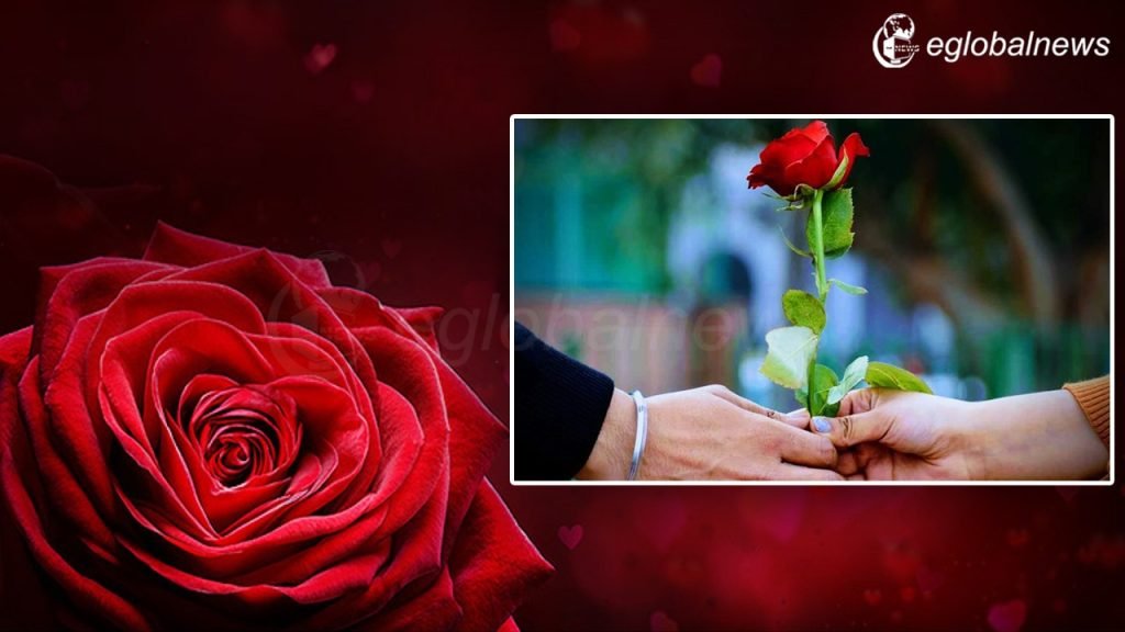 Rose Day