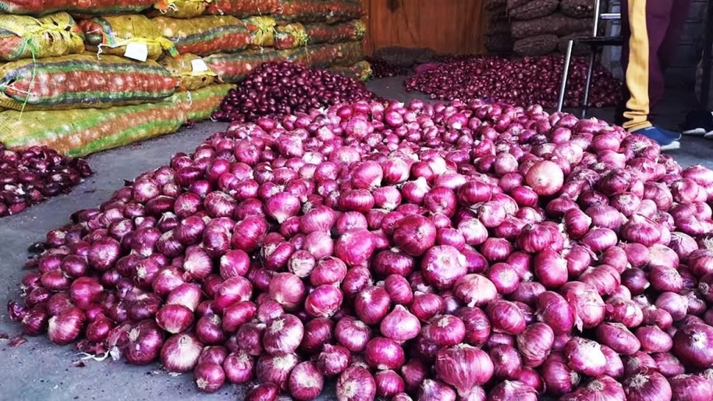 Onion Export Ban: