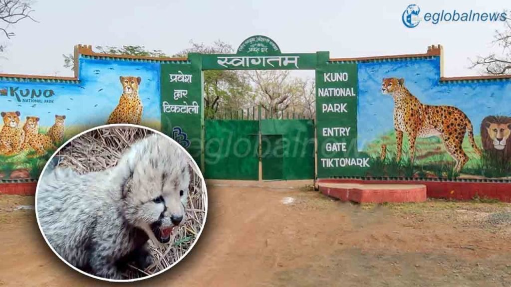 Kuno National Park :