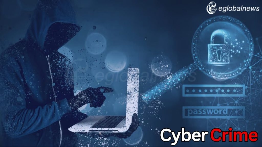 Cyber ​​Fraud :