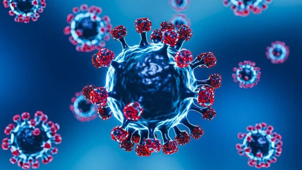 Corona virus: