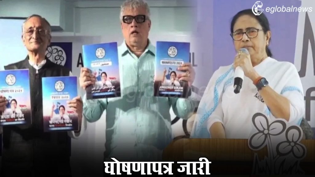 TMC Manifesto 2024