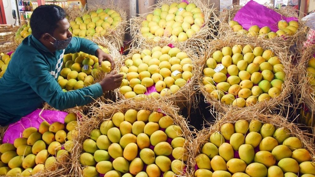 Mango king of fruits: