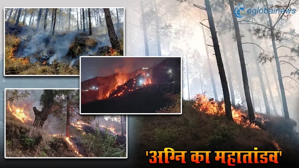 Nainital Forest Fire :