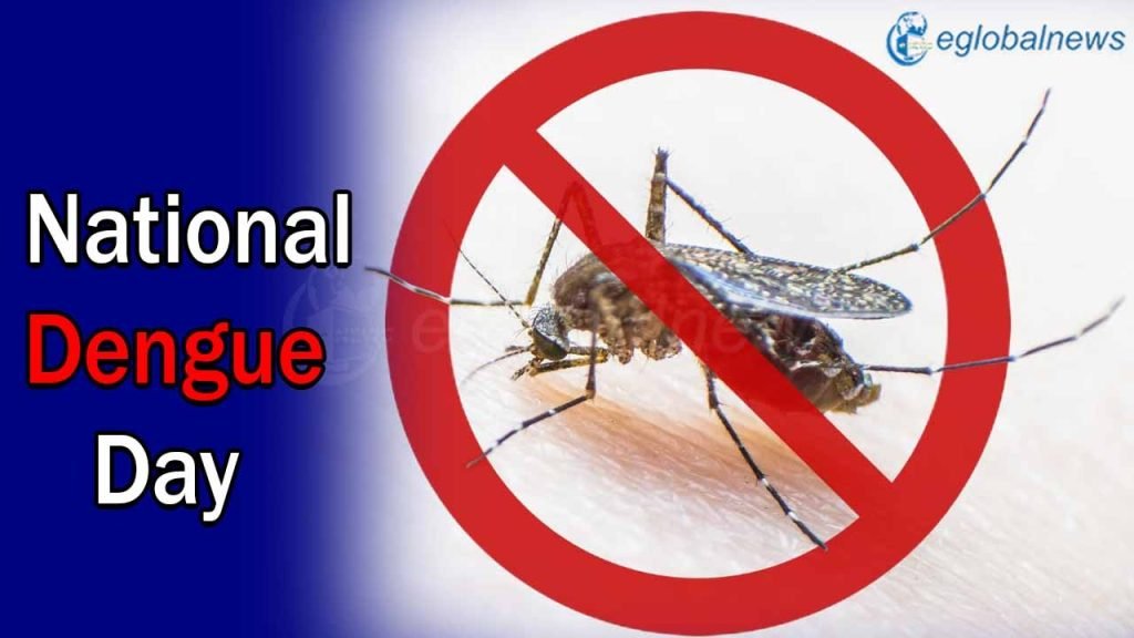 National Dengue Day 2024: