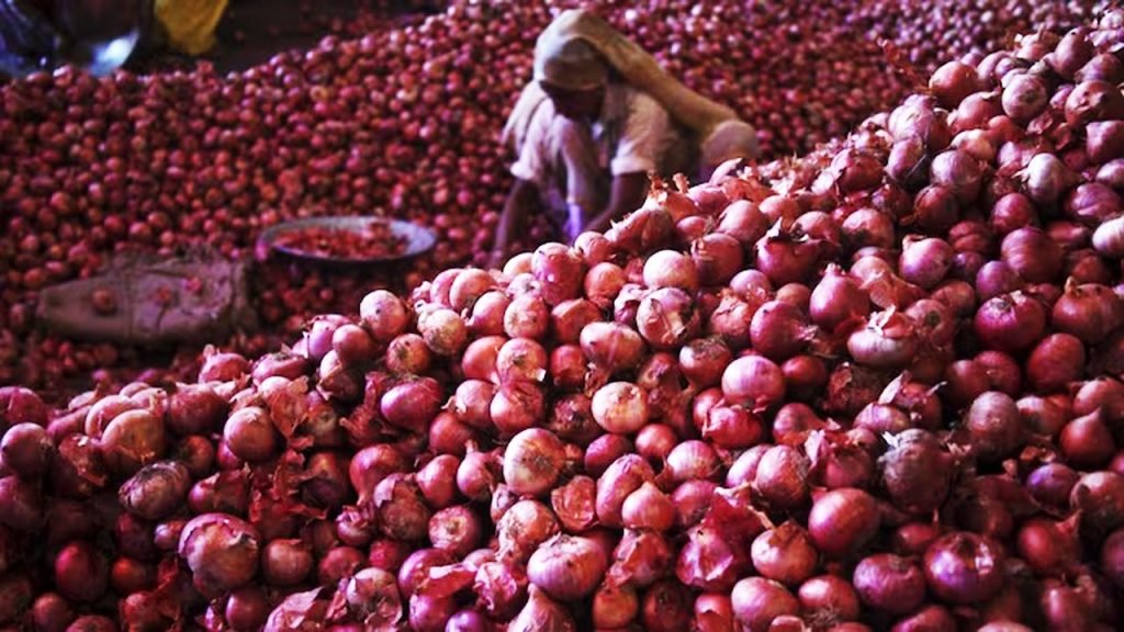 Onion Export: