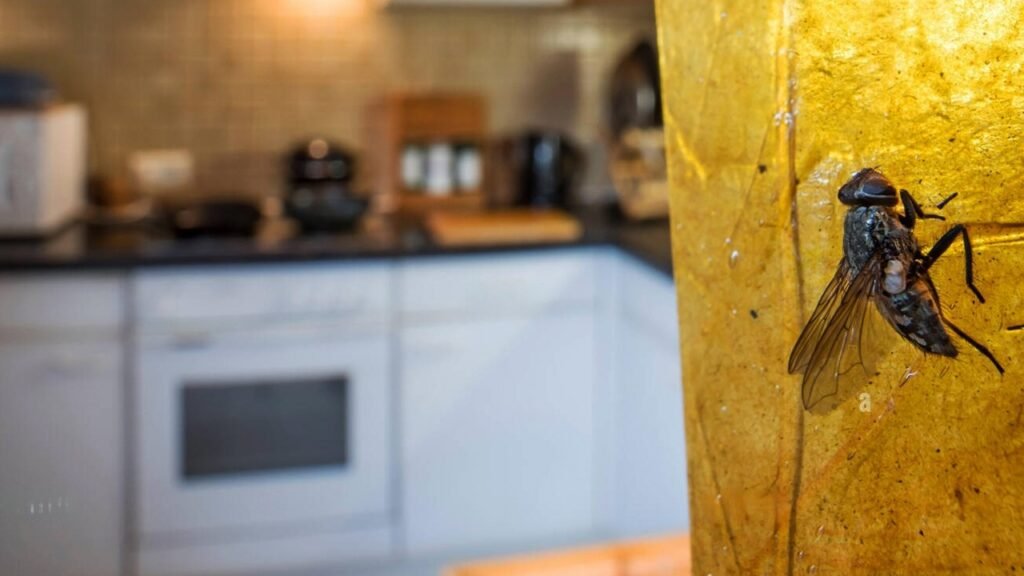Kitchen Hacks: