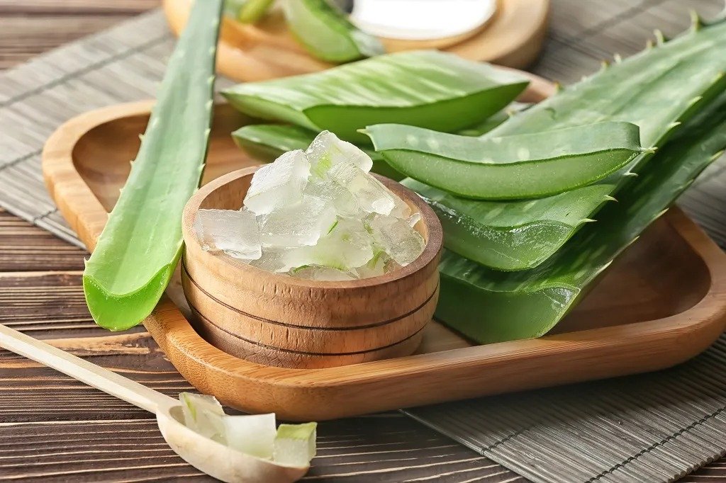 Aloe Vera In Summer For Skin: