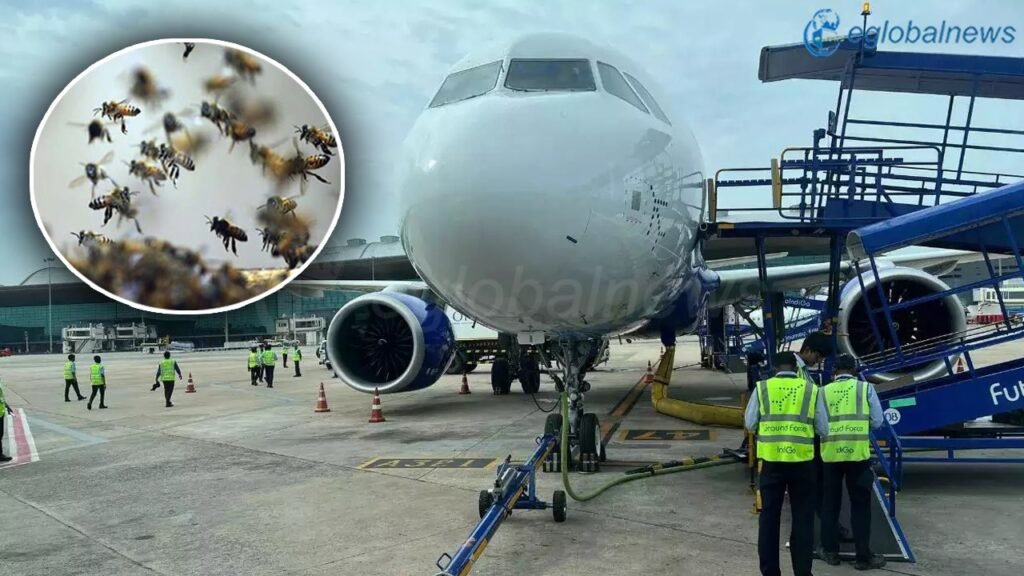 Bees Attack on Flight :