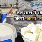 रायपुर में सेहत से खिलवाड़, एक साल में 15,090 किलो नकली पनीर जब्त