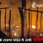 Mainpat Tiger Point Fire: मैनपाट के टाइगर पॉइंट में लगी भीषण आग, दर्जनों दुकानें जलकर राख