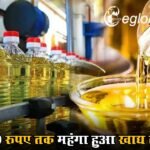 Edible Oil Hike: 300 रुपए तक महंगा हुआ खाद्य तेल, प्लास्टिक बोतल व डिस्पोजल के भी दाम बढ़ें