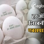 हर अंडे की लिखनी होगी एक्सपायरी डेट, योगी सरकार लागू करने जा रही सख्त नियम