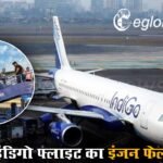 इंडिगो फ्लाइट का इंजन फेल, बाल-बाल बची 161 यात्रियों की जान