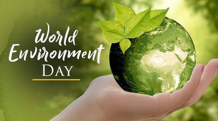 World Environment Day 2026 Theme And History
