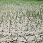 सुपर अलनीनो का दिखने लगा खौफ! जून बना पिछले 100 साल का सबसे सूखा महीना